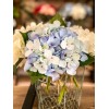 Bouquet hortensia azul