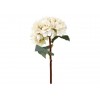 Rama hortensia blanca